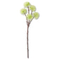 Flower Ball Stem