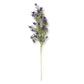 Lavender & Purple Stem