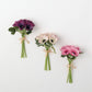 Anemone Bundle