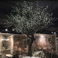 9' Lighted Twig Tree