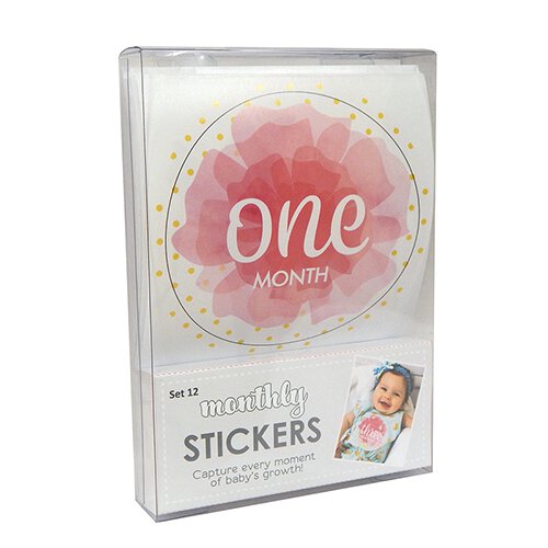 Baby Girl Monthly Sticker Set