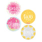 Baby Girl Monthly Sticker Set