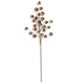 Green & Brown Fig Stem