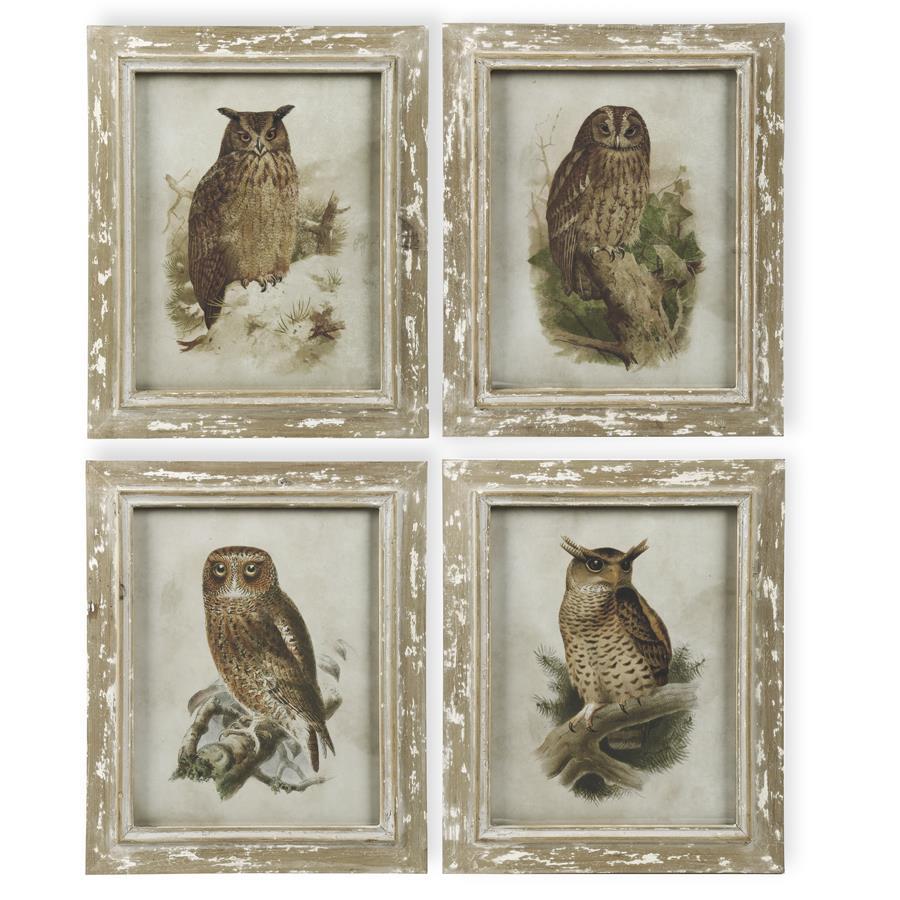 Wood Framed Owl Prints