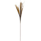Brown Wheat Grass Spray