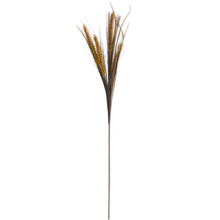Brown Wheat Grass Spray