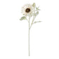White Sunflower