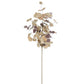 Tan Eucalyptus Stem