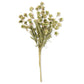 Cream Flower Bush