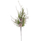 Juniper Stem