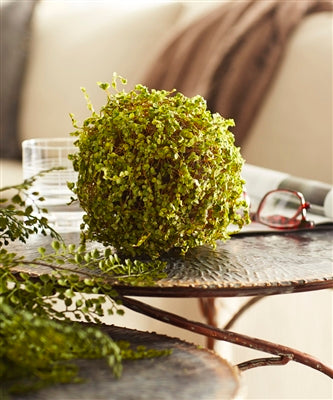 Moss Orb
