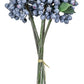Blueberry Bundle