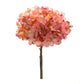 Pink Hydrangea Stem