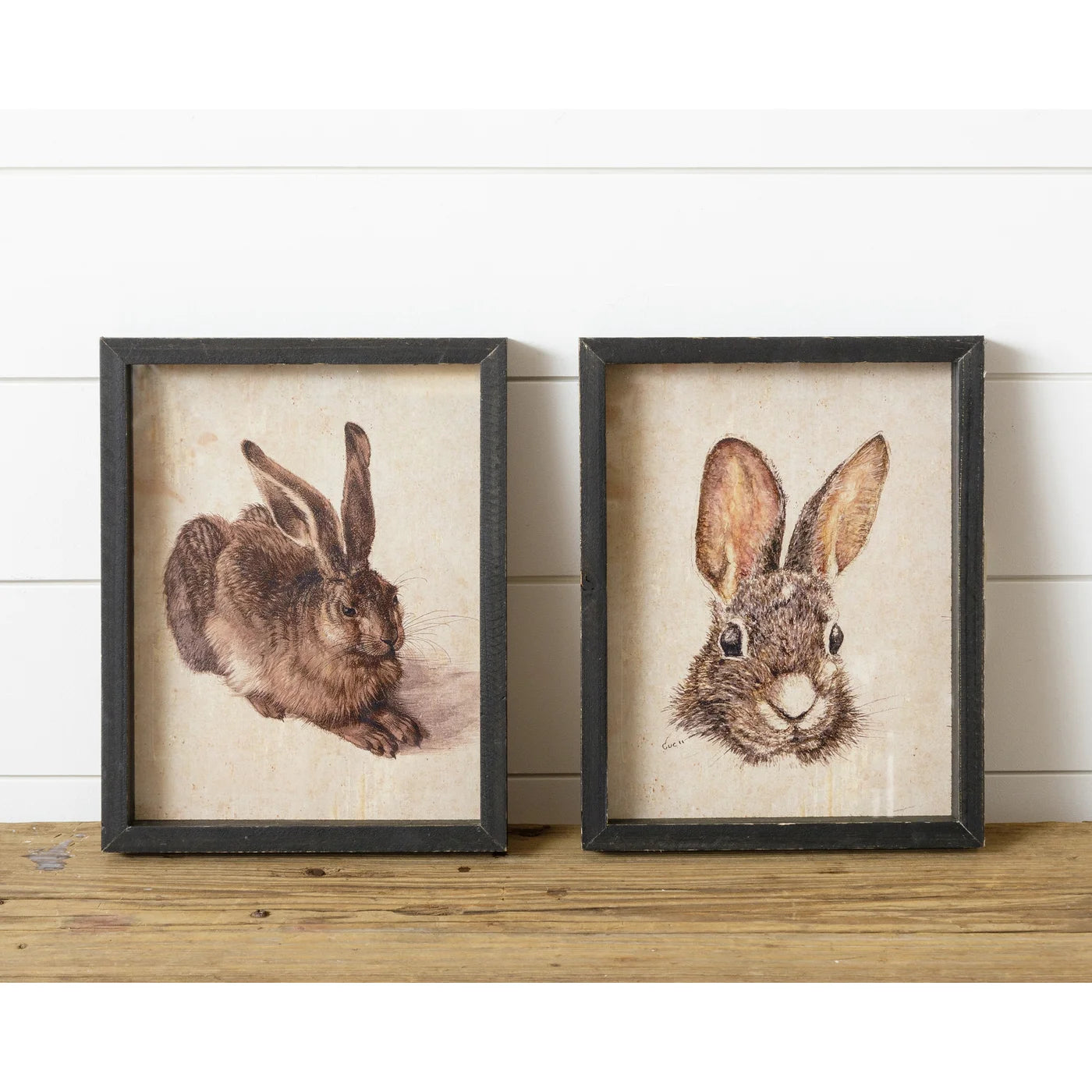 Rabbit Framed Prints