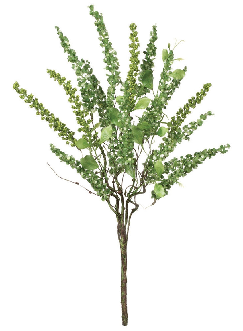 Amaranthus Bush
