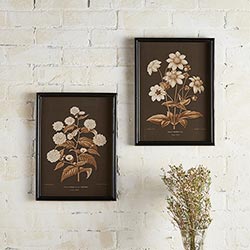 Framed Flower Paintings