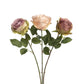 Antique Garden Rose Stem