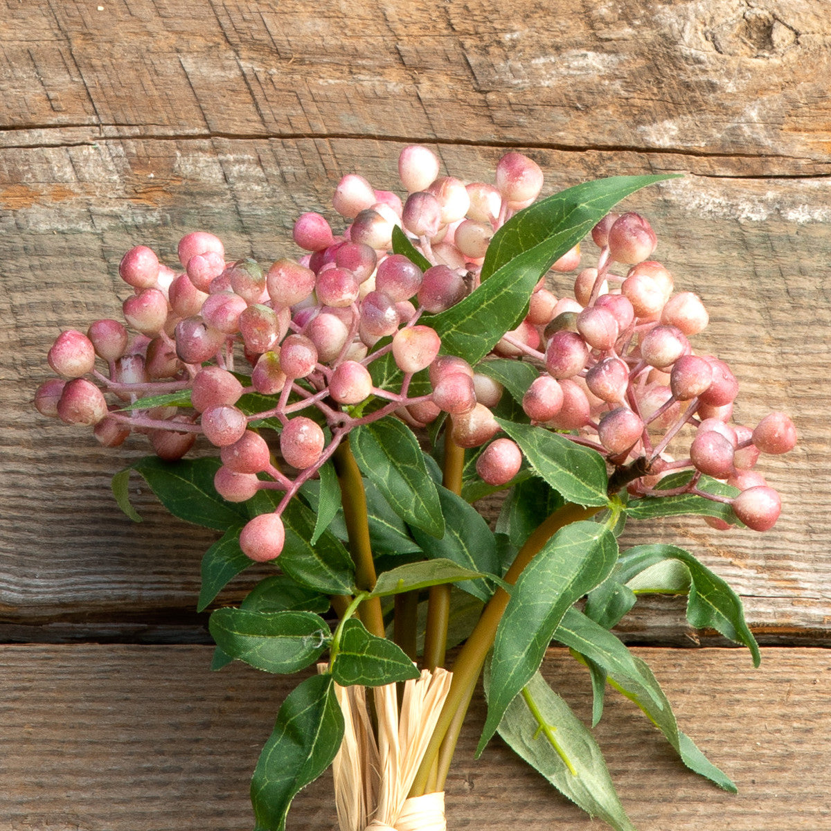 Blush Berry Bundle