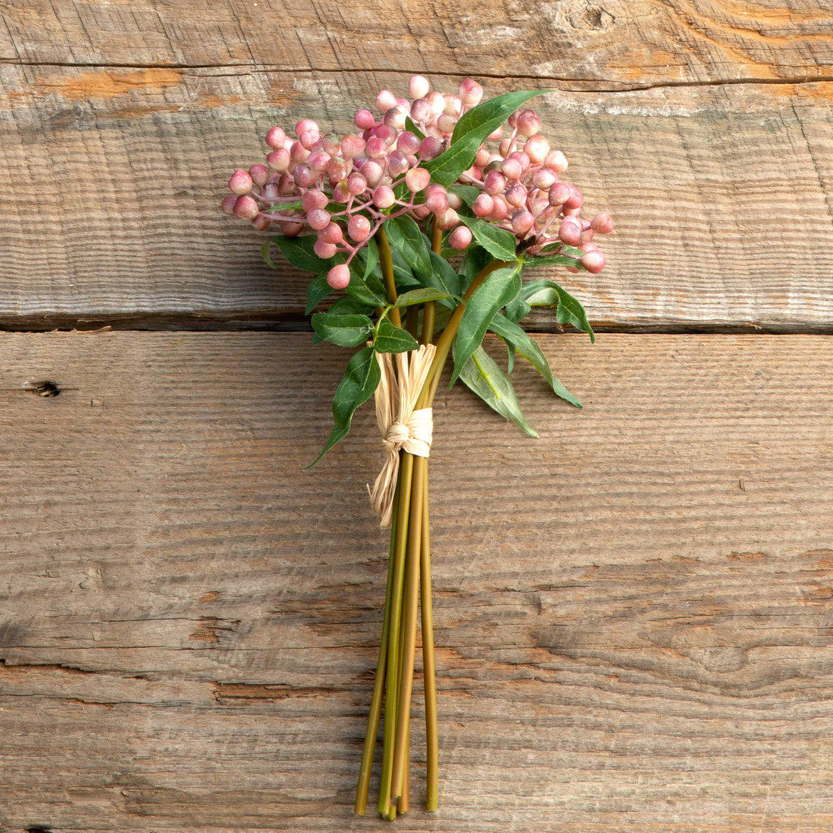 Blush Berry Bundle