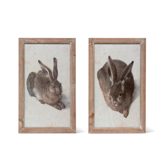 Garden Rabbit Framed Print