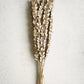 Bundle of Cotton Petal Stems