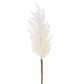 Pampas Grass Stem