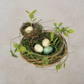 Double Nest with Eggs