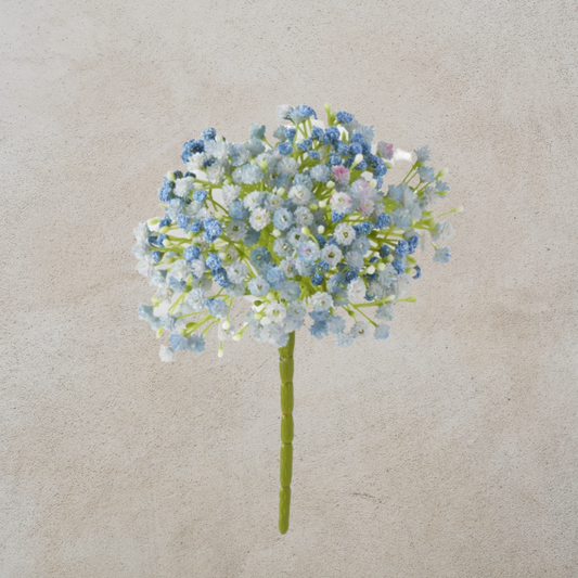 Blue Baby's Breath