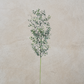 Blue Boxwood Spray