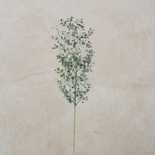 Blue Boxwood Spray