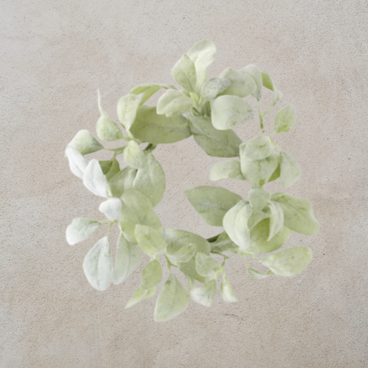 Lambs Ear Candle Ring