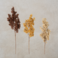 Faux Dried Seed Spray