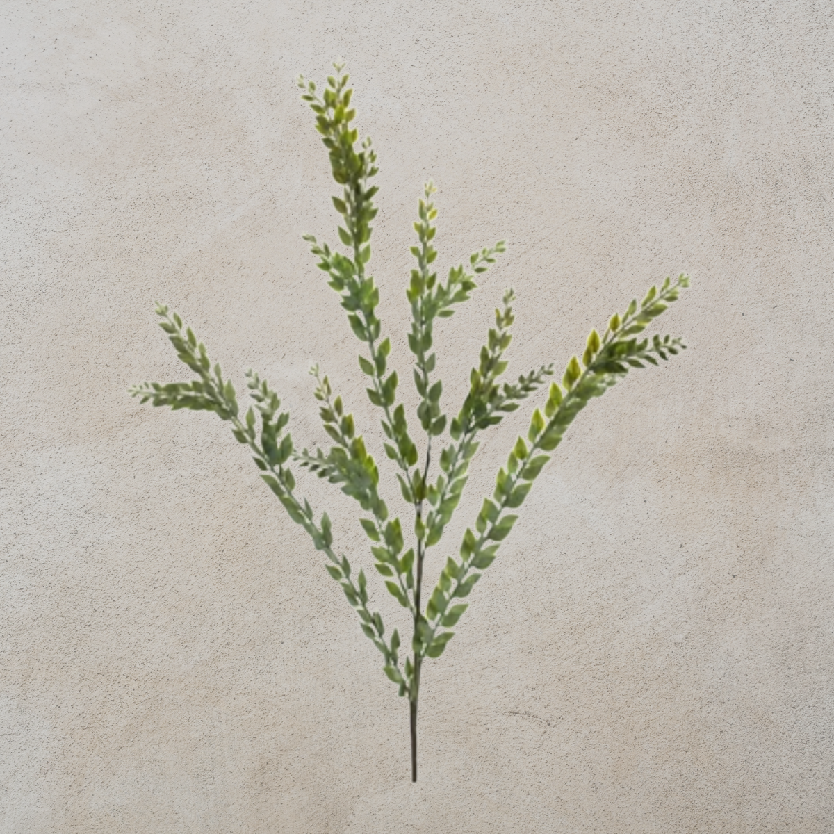 Knife Blade Eucalyptus Spray