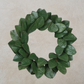 Magnolia Leaf Wreath