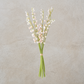 Pink Lily of the Valley Bundle