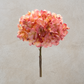 Pink Hydrangea Stem