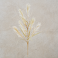 Dried Grass Spray