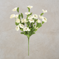 Cream Dianthus Spray