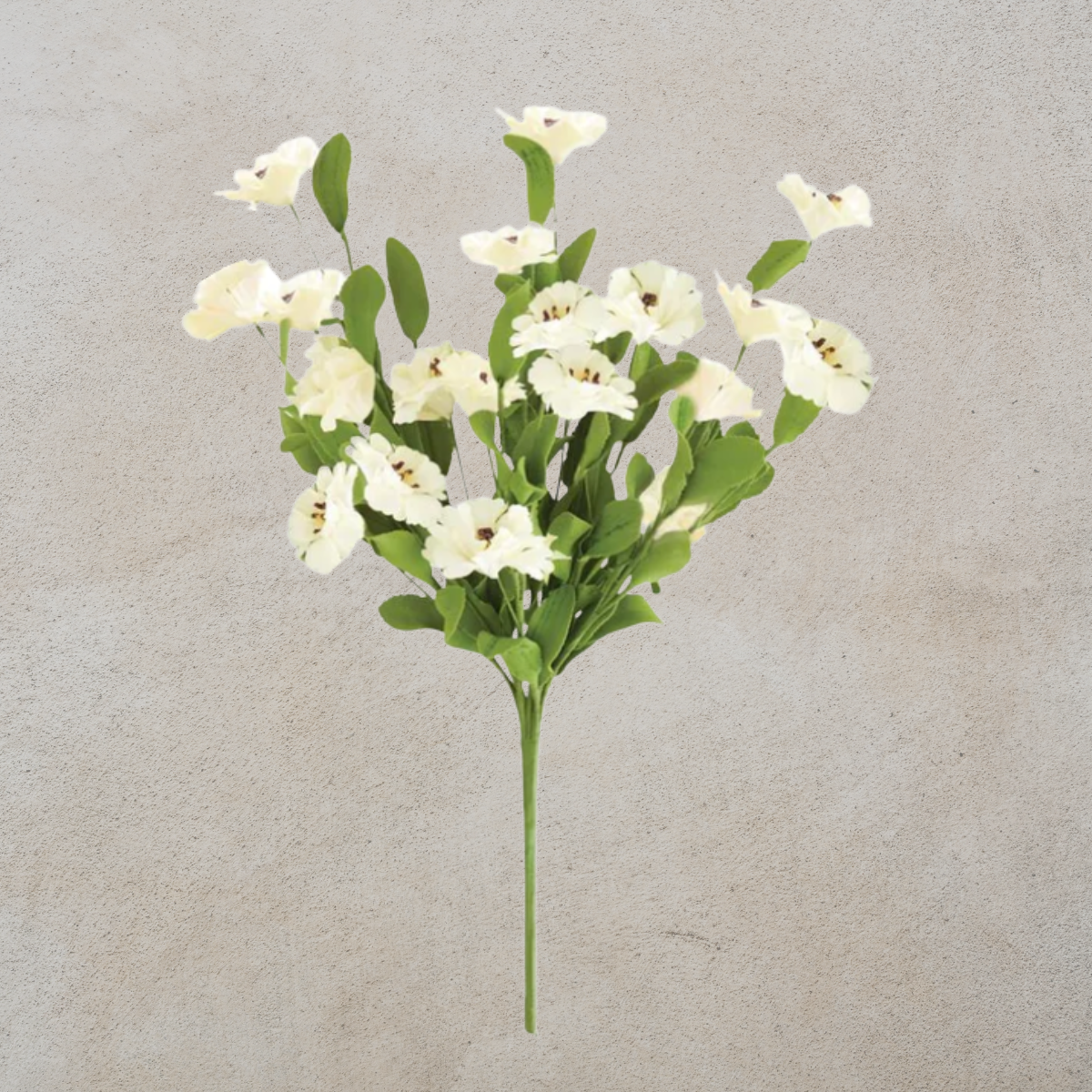 Cream Dianthus Spray