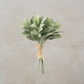 Sage Bundle