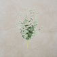 Green Leaf Floral Bundle