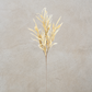 Eva Grass Stem Cream