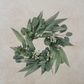 California Eucalyptus Ring