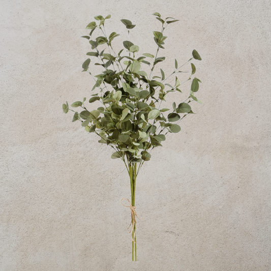 Eucalyptus Bundle