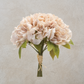Peony Bundle