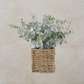 POWDERED EUCALYPTUS IN WOVEN BASKET