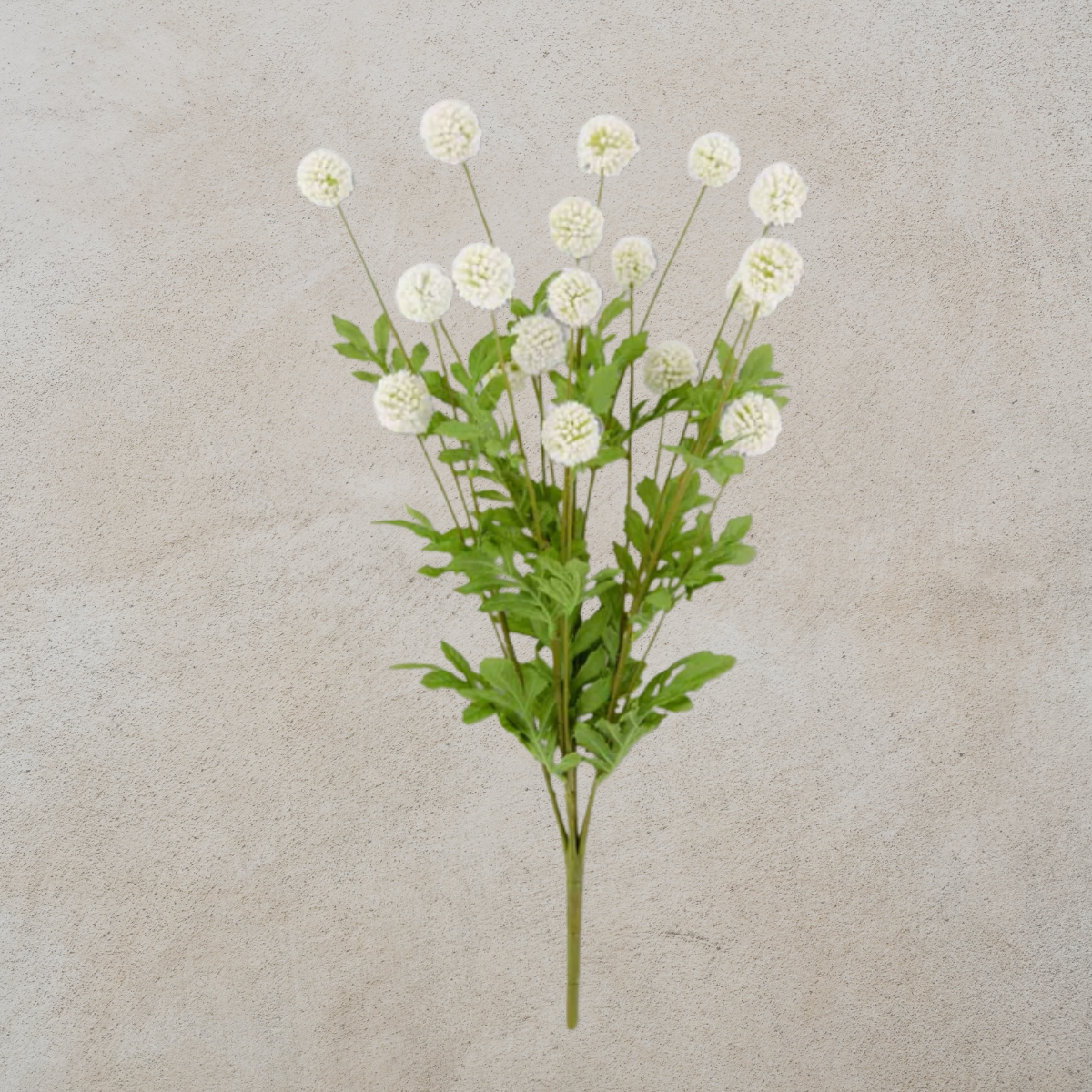White Mini Allium Bush