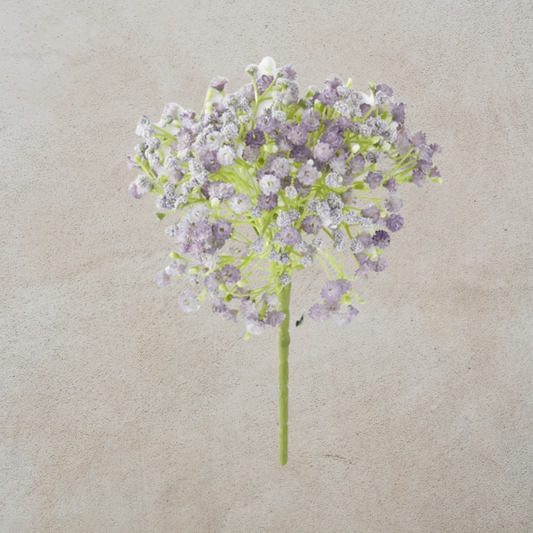 Purple Baby's Breath