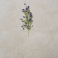 Lavender & Purple Stem