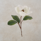 Real Touch Magnolia Stem